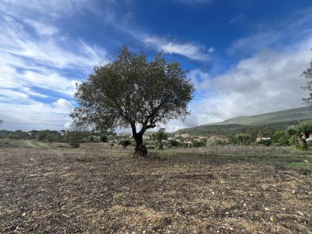 Terreno
