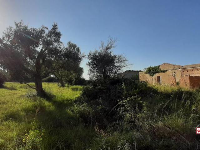 Terreno 3500mq