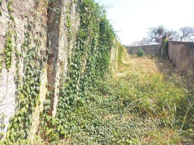 Terreno