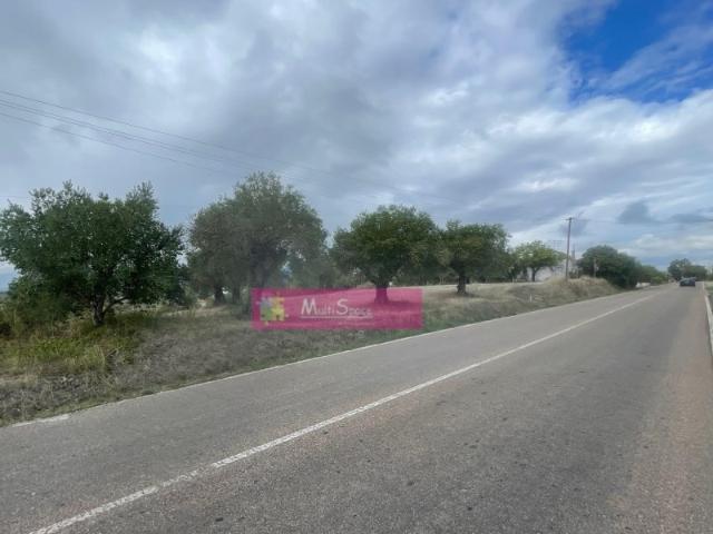 Terreno