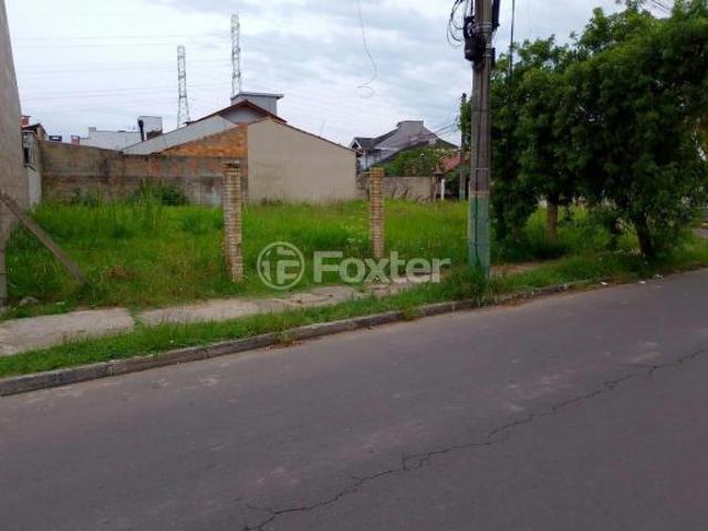 Terreno, 363.75 m², em Parque da Matriz