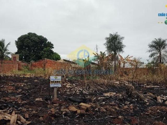 Terreno 360 m² Vila Amapá Bairro Centenário Campo Grande, MS, Brasil