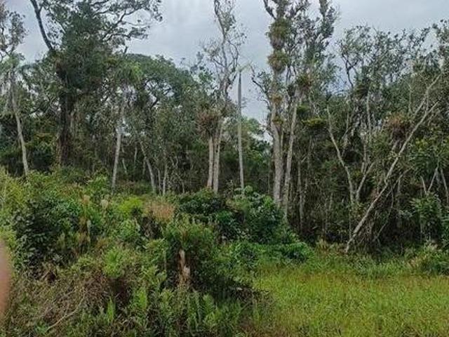 Terreno 367,50 m² no Balneário Currais em Matinhos