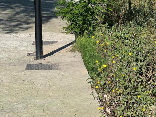Terreno 367 m² en esquina | Fraccionamiento nuevo | Bellavista Naucalpan