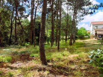 Terreno 3653m2 Casal da Clara, Guia, Pombal