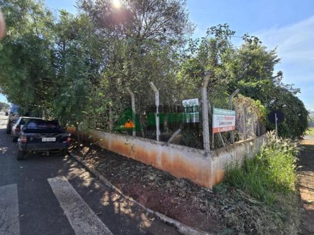 Terreno