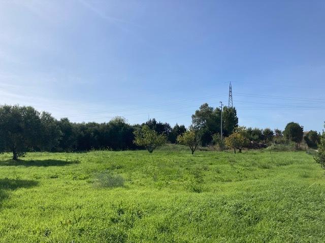 Terreno 3750mq