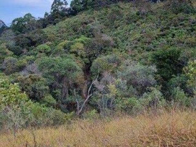 Terreno