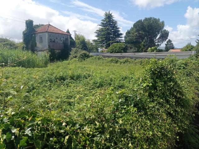 Terreno