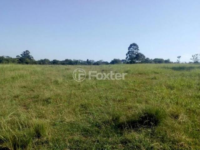 Terreno, 382400 m², em Cadiz