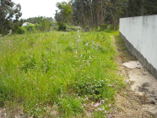 Terreno 384m p/ const. de Moradia Lavos / Fig da Foz