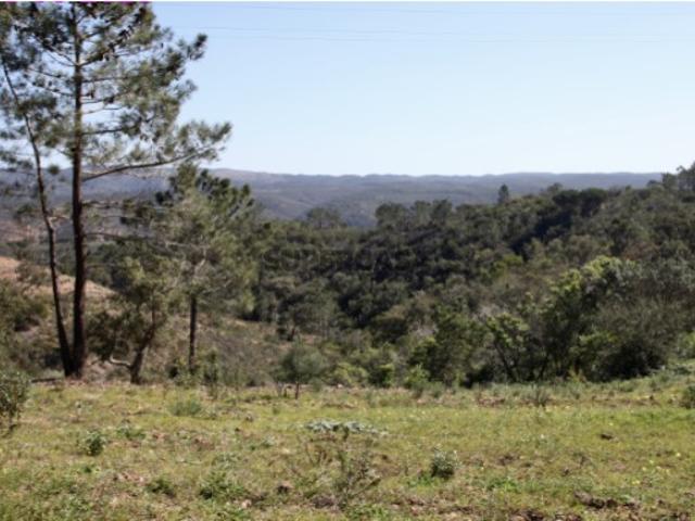 TERRENO 38HA MISTO COM TRES RUINAS EM 24 DIVISOES