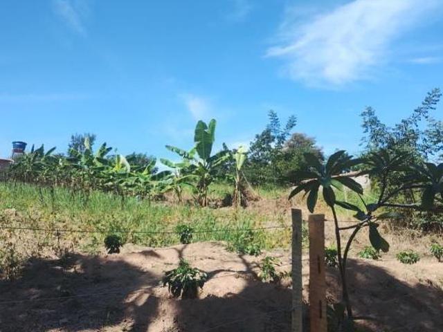 TERRENO 3980 M2