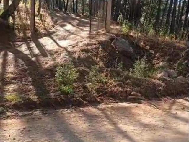 Terreno 30000 m² en venta, Pueblo Mazamitla