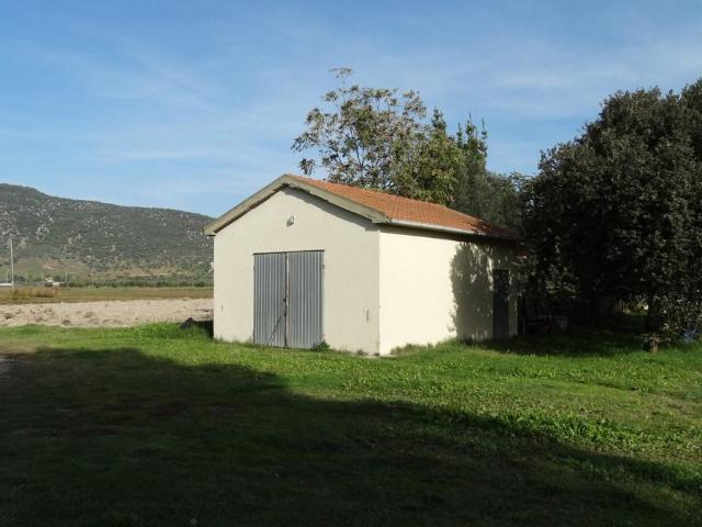 Terreno 30000mq