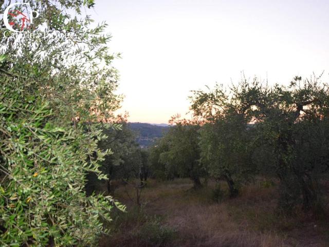 Terreno 30000mq