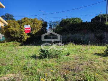 Terreno 300m2 Amora