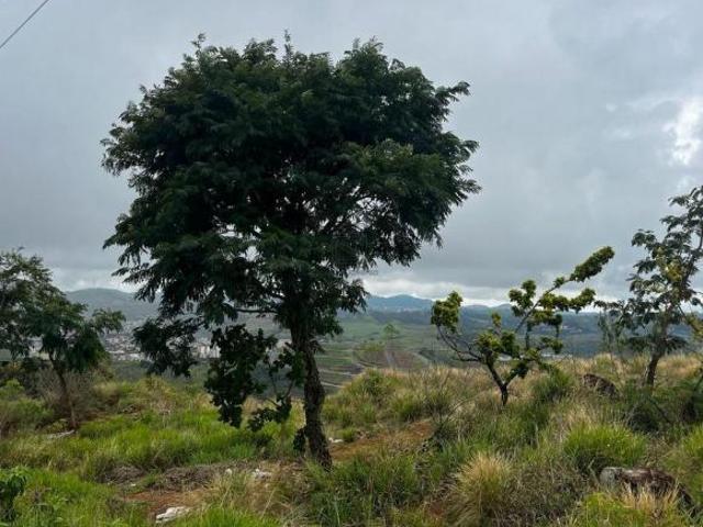 Terreno 300mts Jardim Bandeirantes