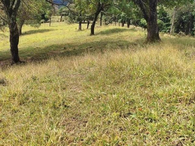 TERRENO 30 HECTARES, COM VÁRIAS NASCENTES PRÓPRIAS À VENDA EM PIRACEMA/MG