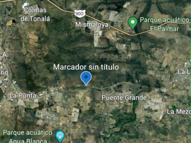 Terreno 30,000m2 a pie de carretera a Zapotlanejo