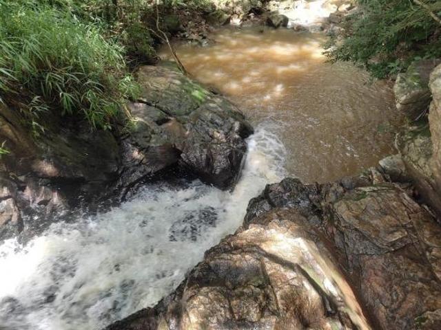 TERRENO 30.000m² C/ MUITA ÁGUA E LUZ LIGADA À VENDA EM PIRACEMA/MG