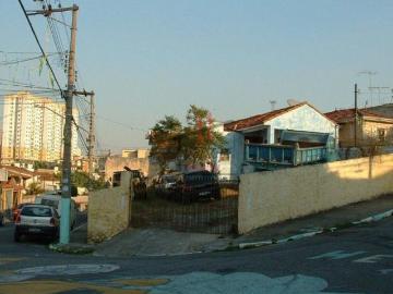 Terreno 313m²