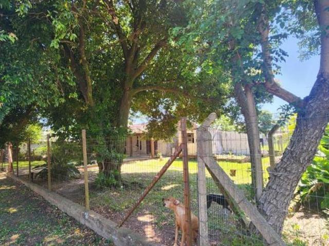 Terreno