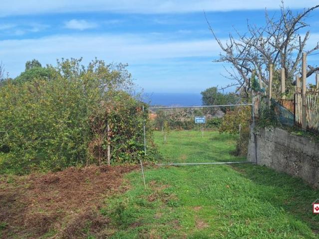 Terreno 3280mq