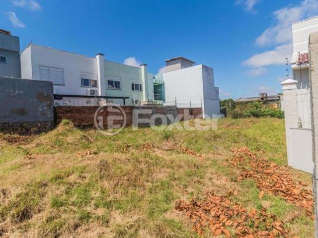 Terreno, 328.24 m², em Sarandi