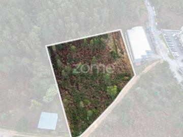 Terreno 3300m2 Vila Chã |São Roque | Oliveira de Azeméis