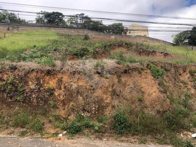 Terreno