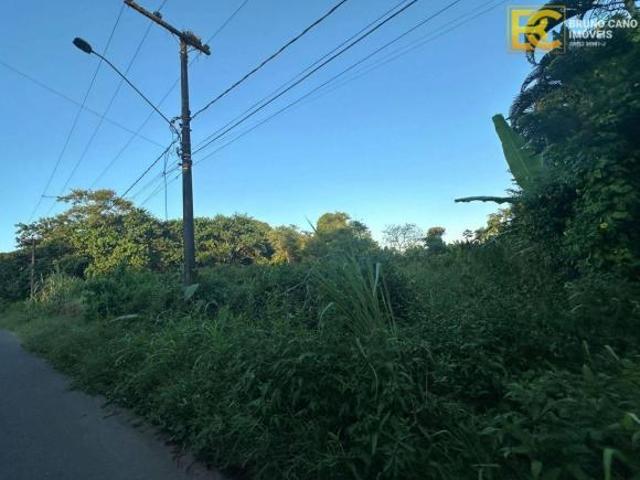 Terreno 3.200m² em Rua Asfaltada – Ideal para Chácara em Peruíbe