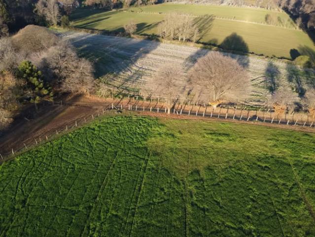 Terreno 3,5 Hectáreas Con Casa En Pinto, Ñuble | 3 dormitorios por 190000. 00 en Pinto