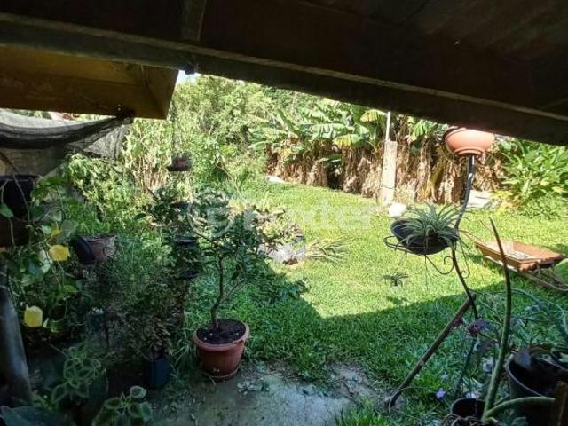Terreno, 3 dormitórios, 1290.375 m², em Jari
