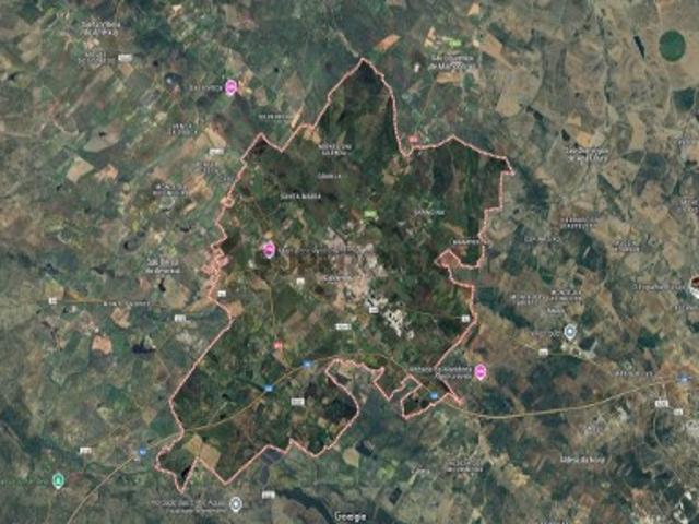 Terreno 3ha ideal para atividade agrícola e construção