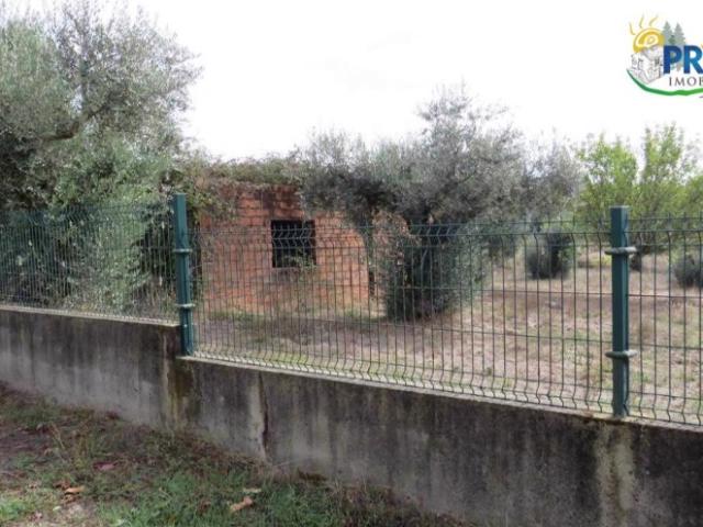 Terreno