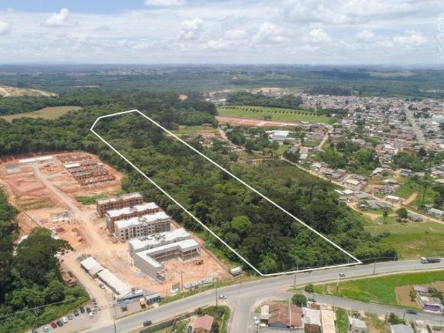 Terreno, Eucaliptos, Fazenda Rio Grande