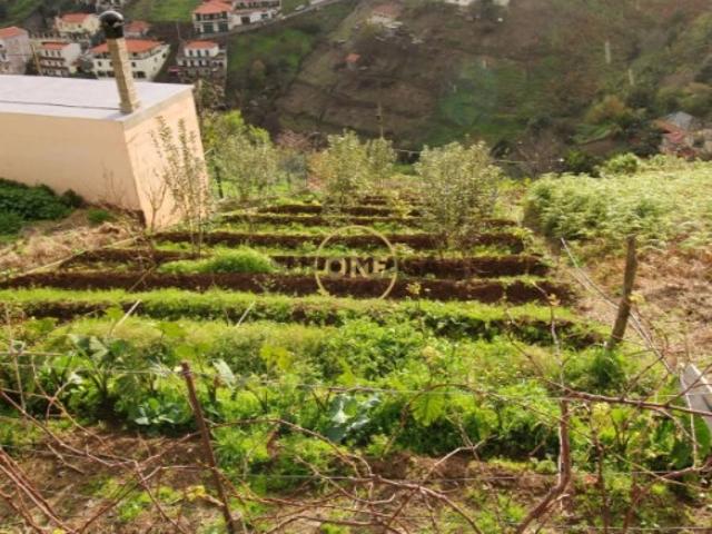Terreno 453m2