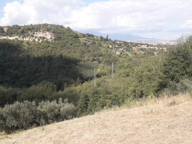 Terreno 4550mq