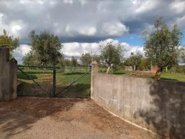 Terreno 4590M2 em Alvaiázere