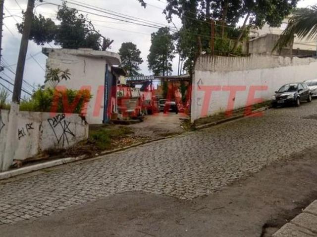 Terreno