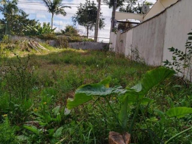 Terreno 478 m², no Uberaba em ótima localização em Curitiba PR