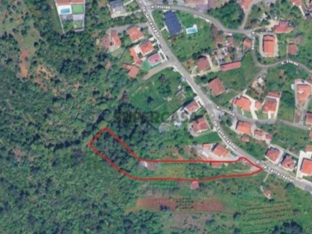 Terreno 4000m² para construção nos Carvalhais de Cima
