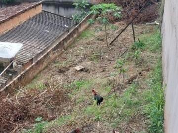 Terreno