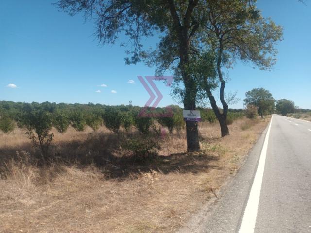 Terreno