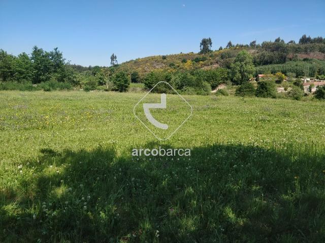 Terreno 40.000m2 ! Próximo da ligação da A3. Linhares P.Coura