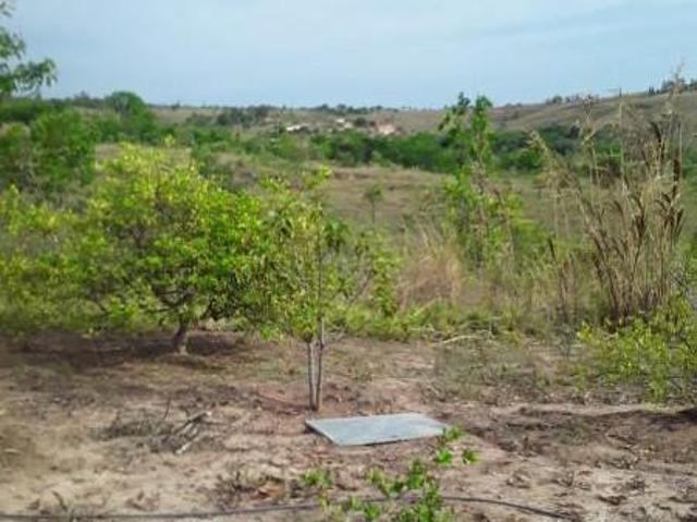 TERRENO 41.100m2