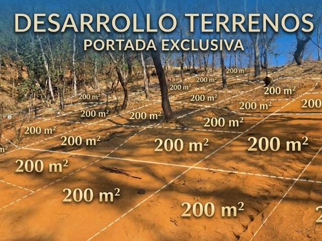 TERRENO