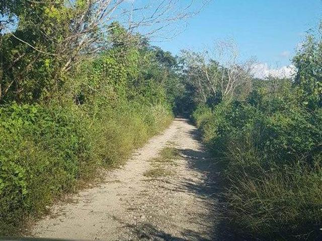 TERRENO 42 HECTÁREAS — CARRETERA SEYÉ HOCABÁ, YUCATÁN | $21/m²