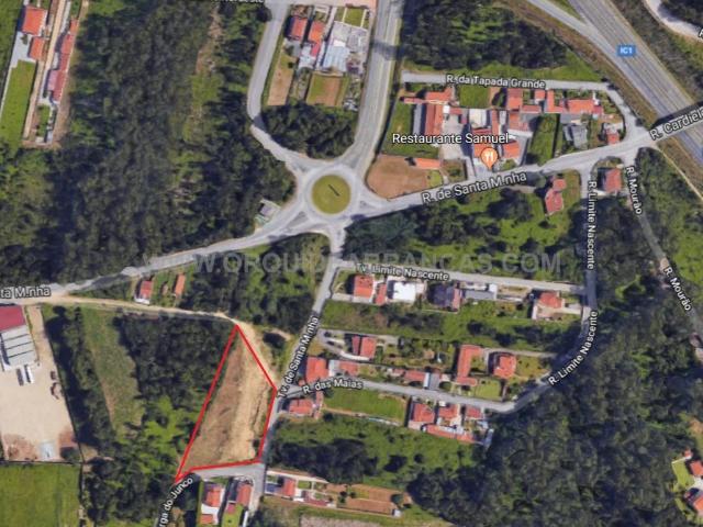 Terreno 4300 m2 Cortegaça